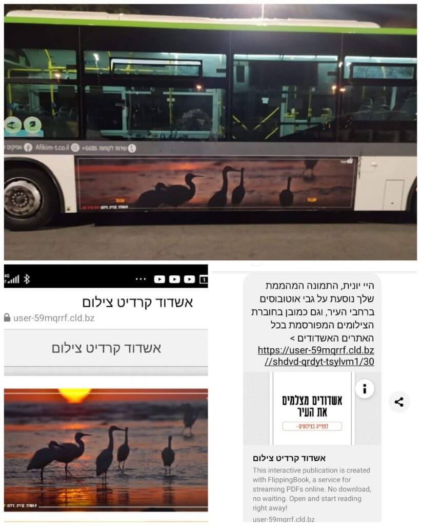 צילום ענפות בשקיעה על אוטובוס באשדוד-אשדוד קרדיט צילו